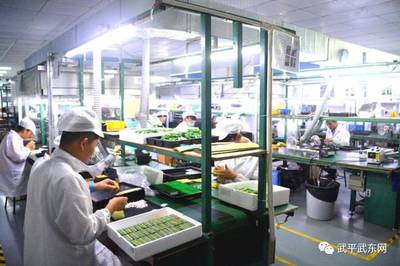 武东镇引进希恩凯液晶显示屏生产项目正式开工，租赁模式助力产业升级